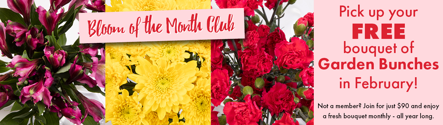 HP_020126_1440x408_Floral