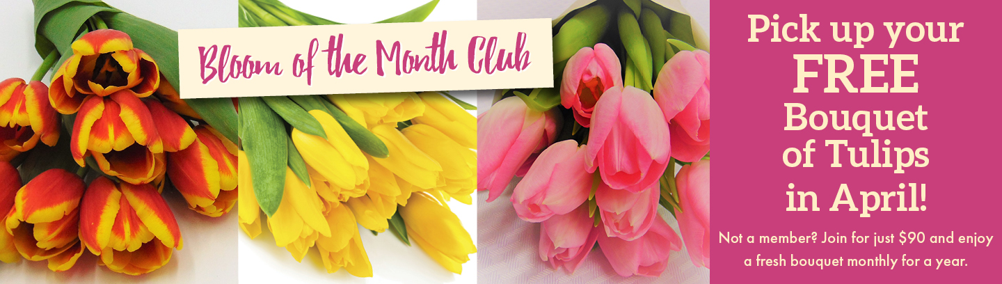 HP_0329_1440x408_Bloom_of_the_Month