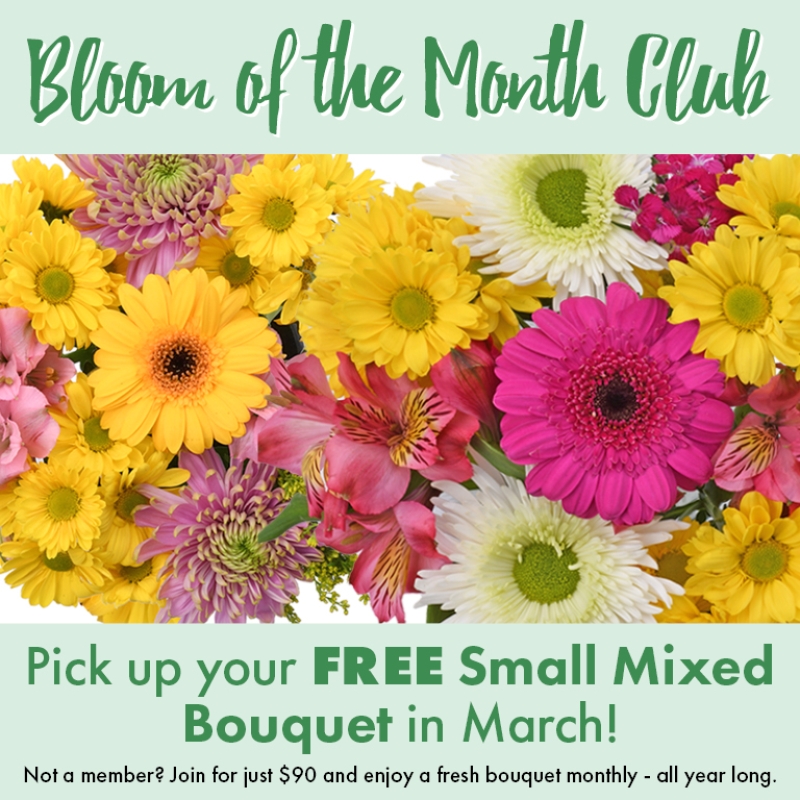 HP_Mobile_0301_800x768_Floral