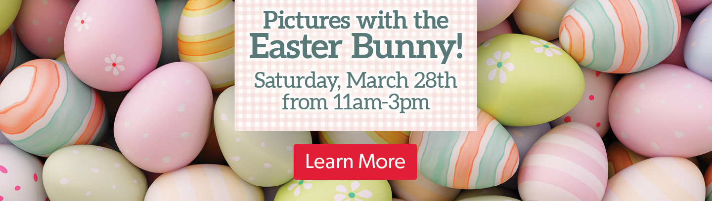 WK12 Easter Bunny Pictures Martin Hero_1440 x 408